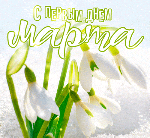 Гифка с первым днём Марта. Гифка с первым днём Марта.