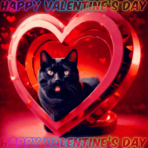 Happy Valentine's Day 2024 GIFs