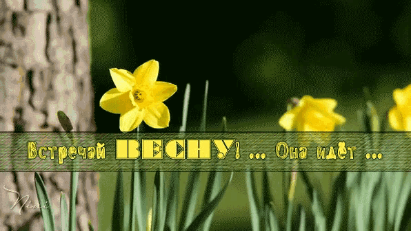Гифка встречай весну, она идёт.