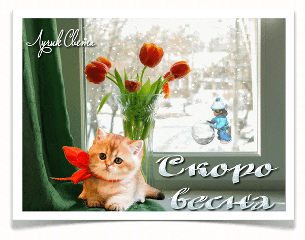 Милая анимация с котёнком и красными тюльпанами, совсем скоро весна.
