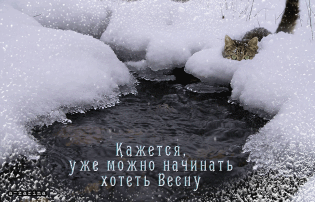 Суровая гиф  открытка кажется уже можно начинать хотеть весну.