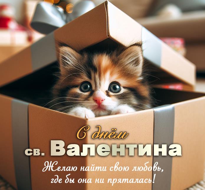 Поздравительные открытки с днём влюбленных 14 Февраля 2024.
