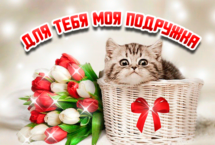 Гифка с котёнком в корзине и букетом тюльпанов для моей подружки.