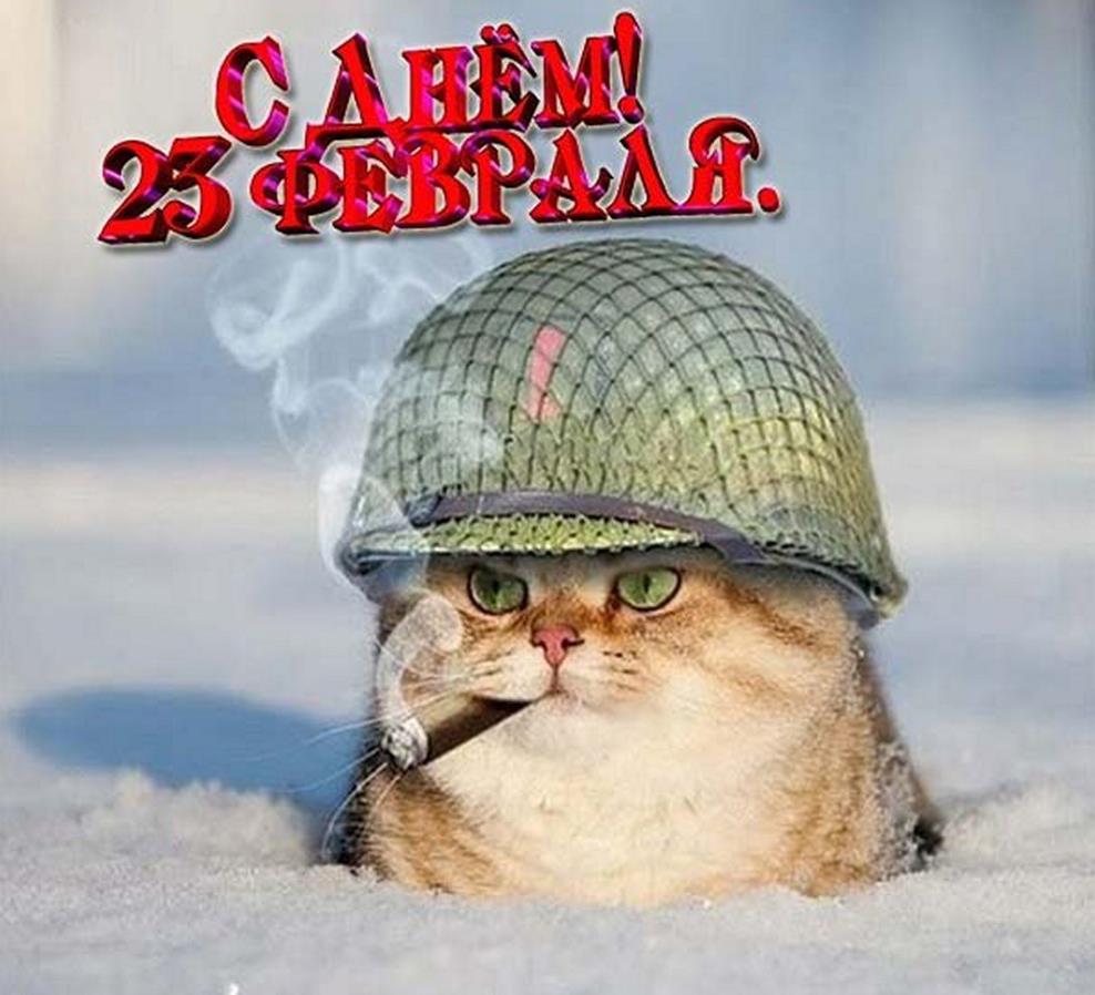 Зимняя открытка со смешным котом в военной каске и сигарой в зубах.