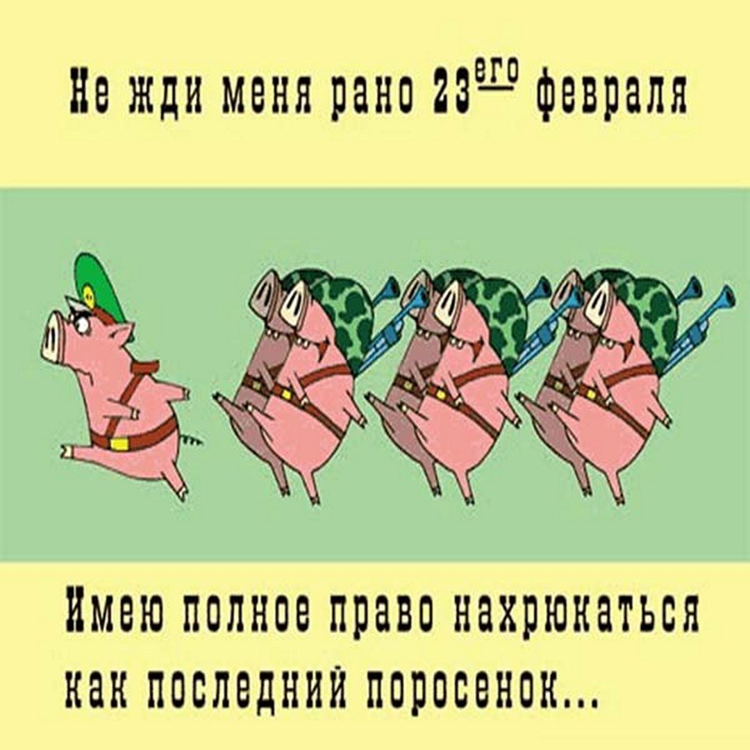 Имею полное право нахрюкаться как поросёнок.