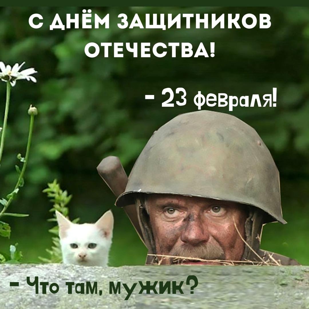 Кот и Михалков поздравляют солдат на СВО с днём защитника отечества 23 Февраля 2024.