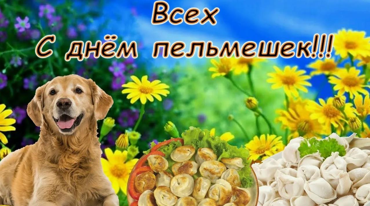 Смешная картинка с собакой, всех с днём пельмешек. Смешная картинка с собакой, всех с днём пельмешек.
