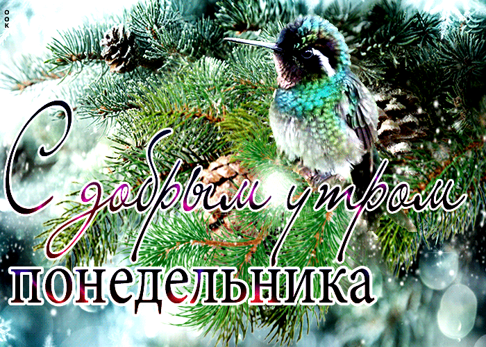 Волшебная зимняя гифка с птичкой на сосне, которая желает доброго утра понедельника.