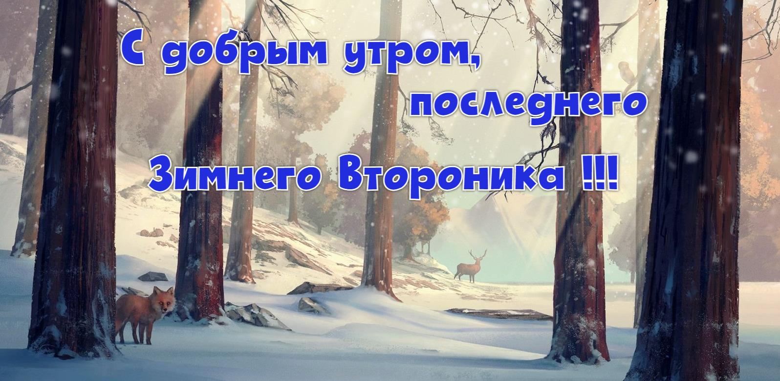 Красивая солнечная открытка "С добрым утром, последнего зимнего вторника!" с лисятами в снежном лесу.