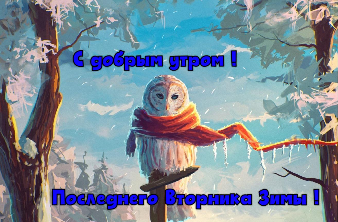 Классная арт открытка "С добрым утром! Последнего Вторника Зимы!" с совой в снежном лесу.