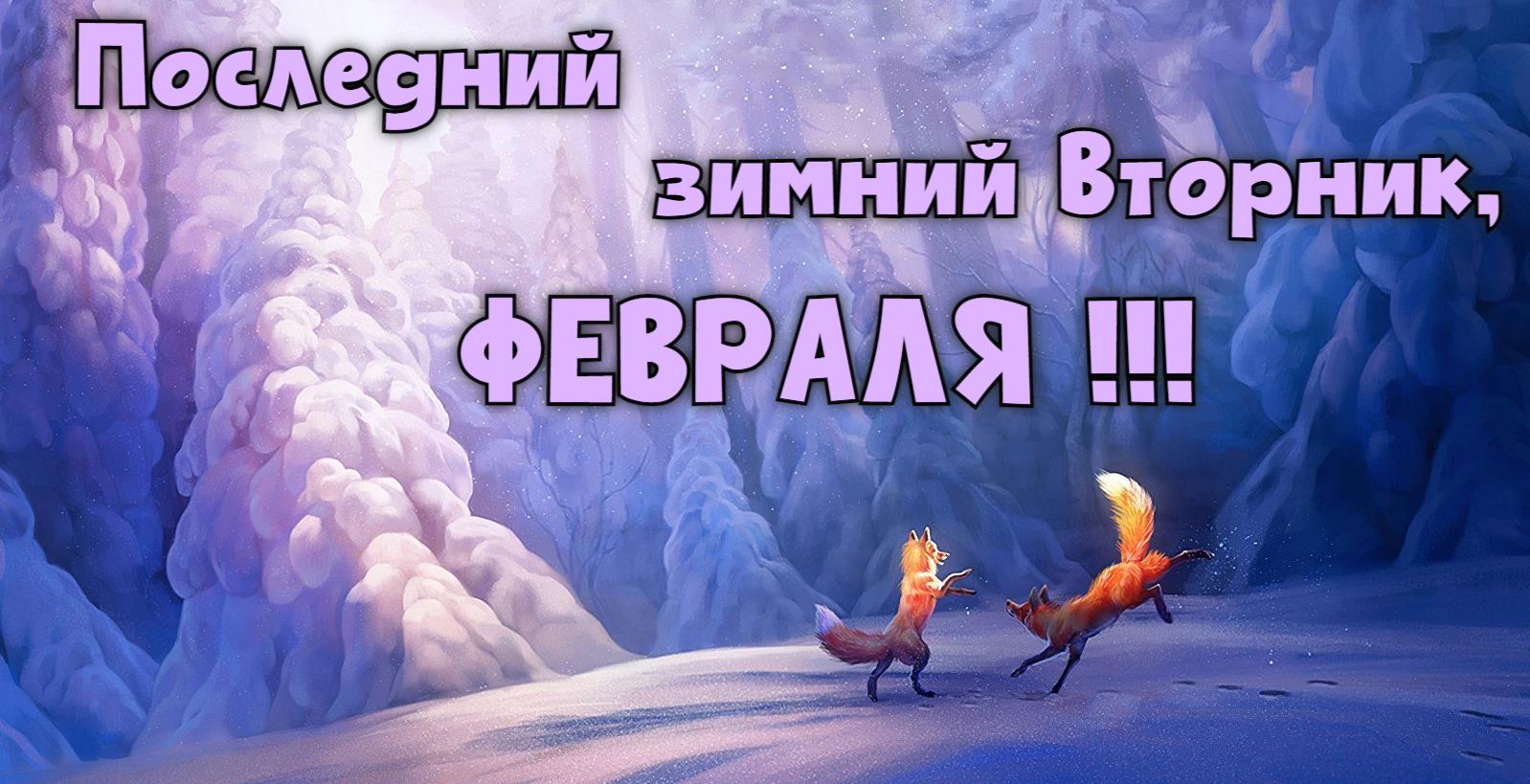 Волшебная картинка "Последний зимний Вторник, Февраля!".