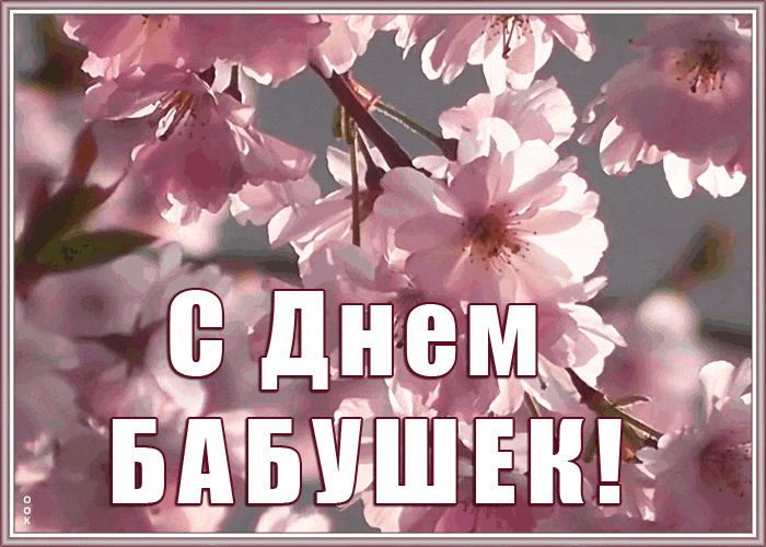 Красивая весенняя gif картинка на день бабушки с цветущими деревьями.