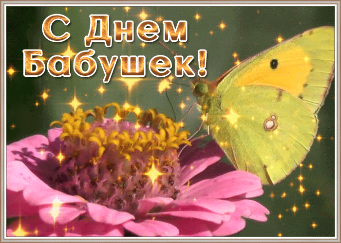 Мерцающая gif картинка с бабочкой на цветке для бабулечки.