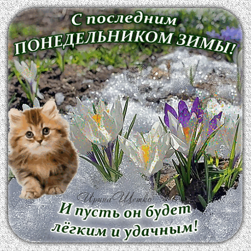Анимационная гиф открытка "С последним понедельником Зимы! И пусть он будет лёгким и удачным!" с котёнком на зимне - весеннем пейзаже.