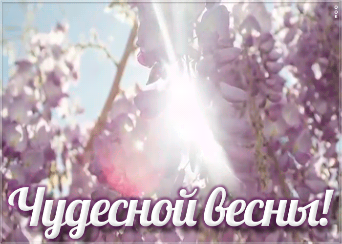 Анимация с текстом "Чудесной Весны!" на фоне цветущих деревьев. Анимация с текстом "Чудесной Весны!" на фоне цветущих деревьев.