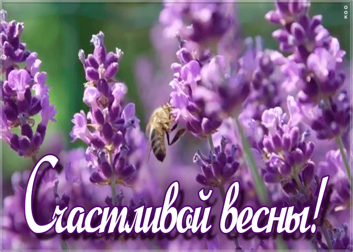 Красочная анимация с пожеланием счастливой весны на фоне цветов. Красочная анимация с пожеланием счастливой весны на фоне цветов.