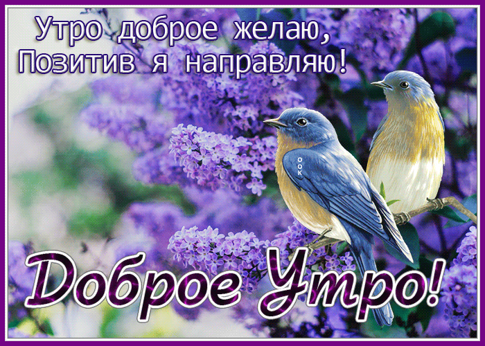 Гифка "Утро доброе желаю, позитив я направляю!" картинка с весенними птичками на цветущем дереве.Гифка "Утро доброе желаю, позитив я направляю!" картинка с весенними птичками на цветущем дереве. Гифка "Утро доброе желаю, позитив я направляю!" картинка с весенними птичками на цветущем дереве.