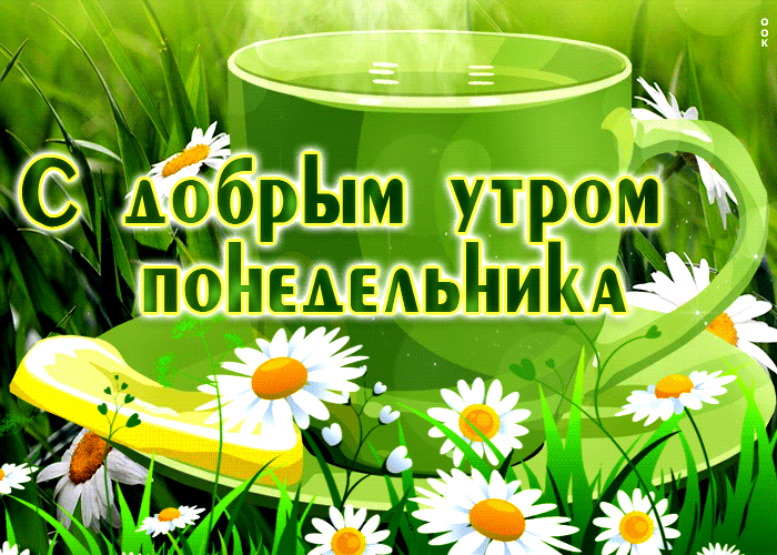 Летняя анимация с добрым утром понедельника на фоне ромашкового поля. Летняя анимация с добрым утром понедельника на фоне ромашкового поля.