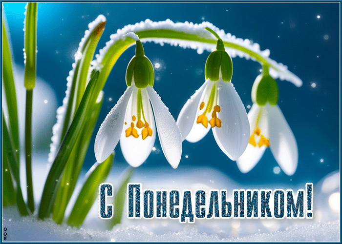 Зимняя анимация с весенними подснежниками и поздравлением с наступившим Понедельником.