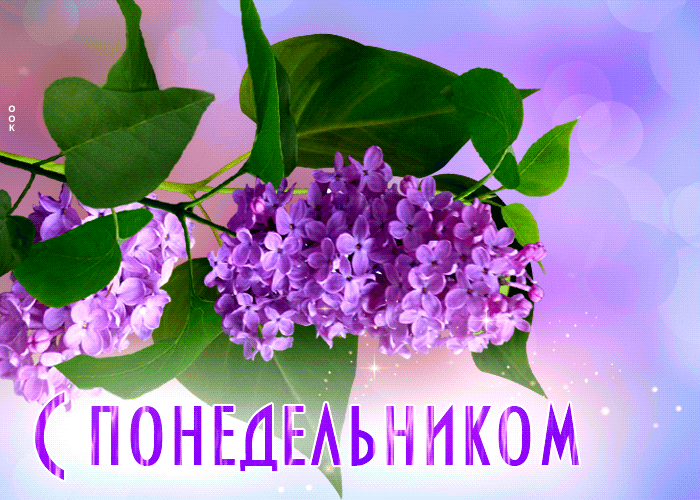 Красивая gif картинка с веточкой сирени на понедельник.