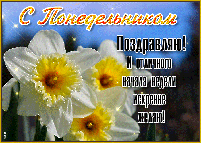 Мерцающая цветочная гиф открытка с понедельником поздравляю и отличного начала недели желаю для женщин.