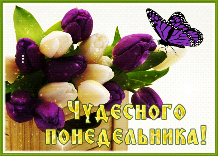 Весенняя анимация с тюльпанами, чудесного понедельника.