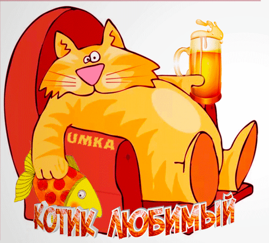 Смешная анимация котик любимый апельсиновый мой.