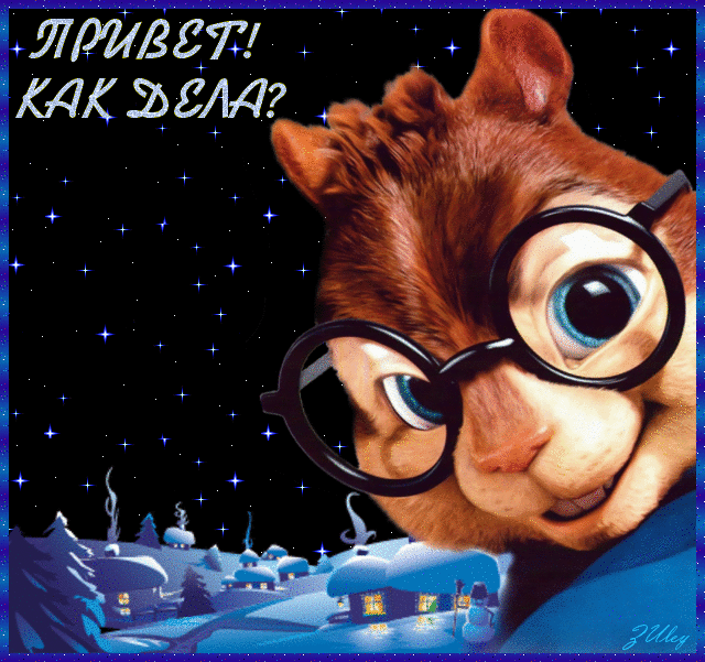 Gif картинка бурундук очкарик.