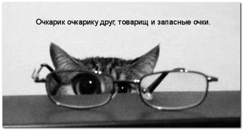 Очкарик очкарику друг, товарищ и запасные очки.