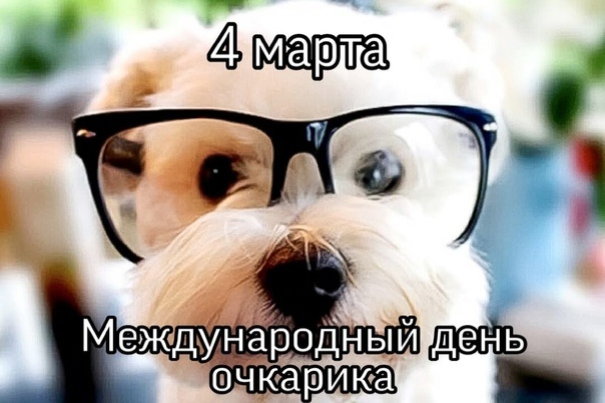 Смешная открытка собака очкарик на 4 марта.