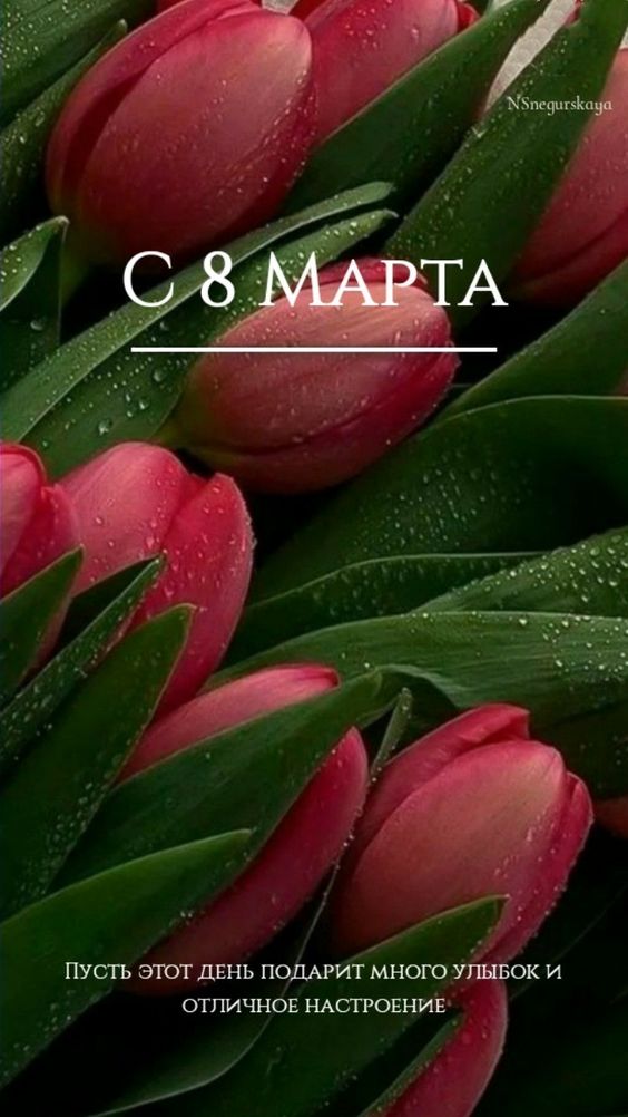 Пусть этот день подарит море улыбок и отличное настроение.