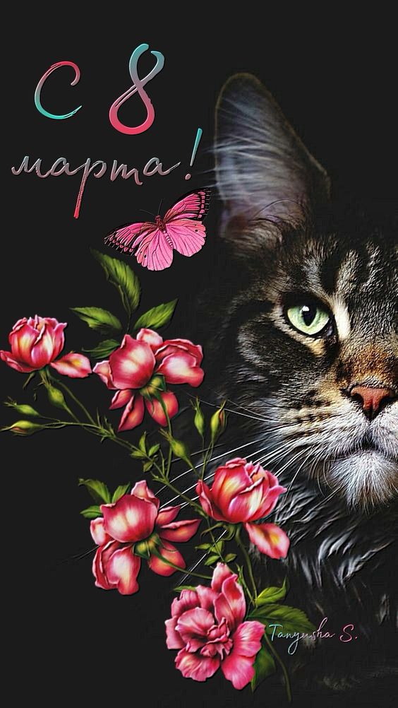 Чёрный кот на чёрном фоне с 8 марта.