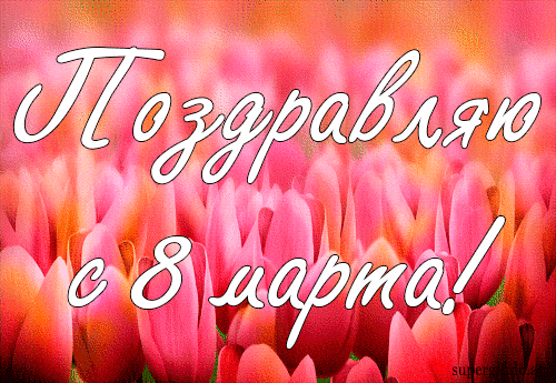 Бесконечное поле луговых тюльпанов к 8му марта на gif картинке. Бесконечное поле луговых тюльпанов к 8му марта на gif картинке.
