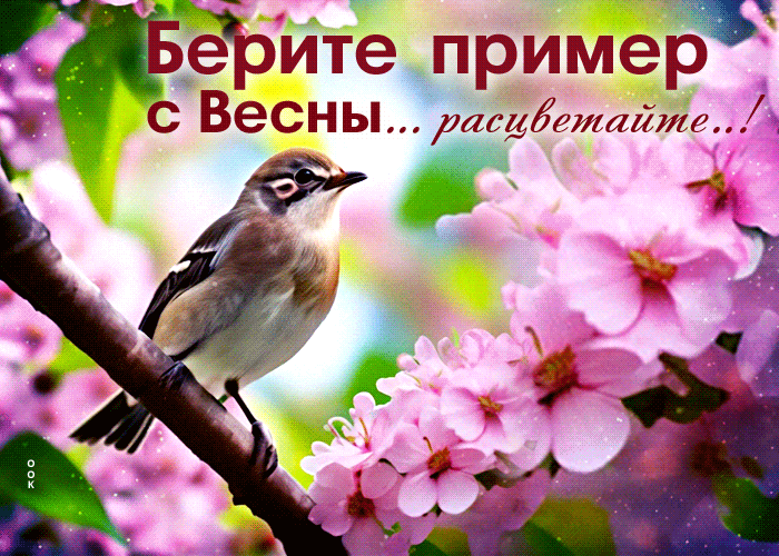 Яркая весенняя гиф-открытка берите пример с весны, расцветайте. Яркая весенняя гиф-открытка берите пример с весны, расцветайте.