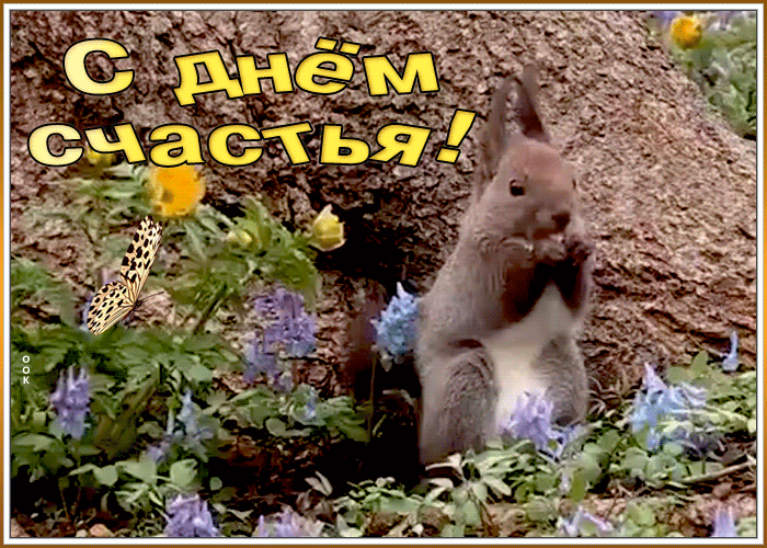 Смешная gif картинка с белкой в день счастья.