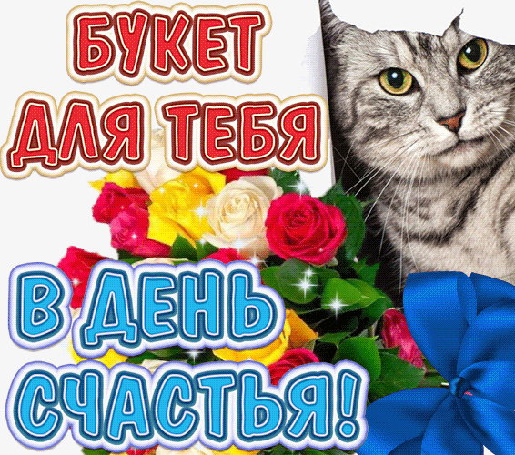 Смешная гифка кот дарит букет любимой хозяйке в день счастья.
