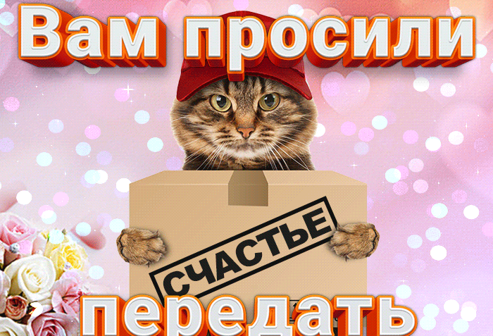 Мерцающая анимация с котом, вам просили передать коробку счастья.
