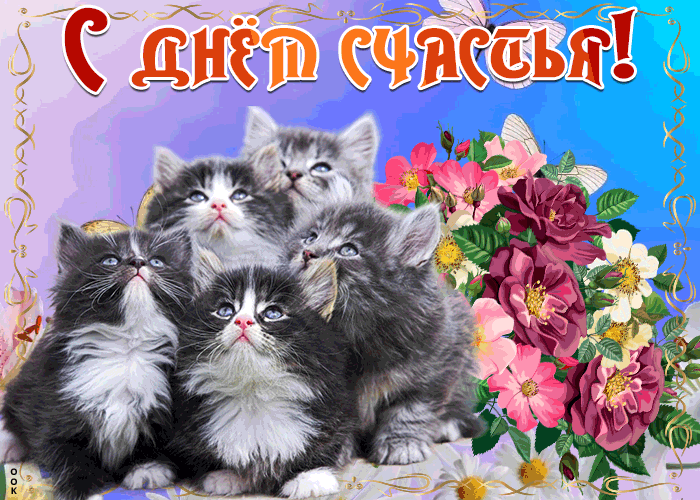 Смешная Открытка с днём счастья с котиками.