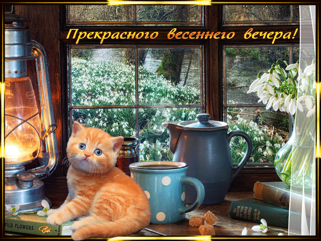Гиф-открытка с пожеланием прекрасного весеннего вечера. Гиф-открытка с пожеланием прекрасного весеннего вечера.