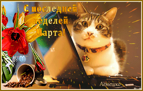 Смешная гифка с котом "С последней неделей Марта!".