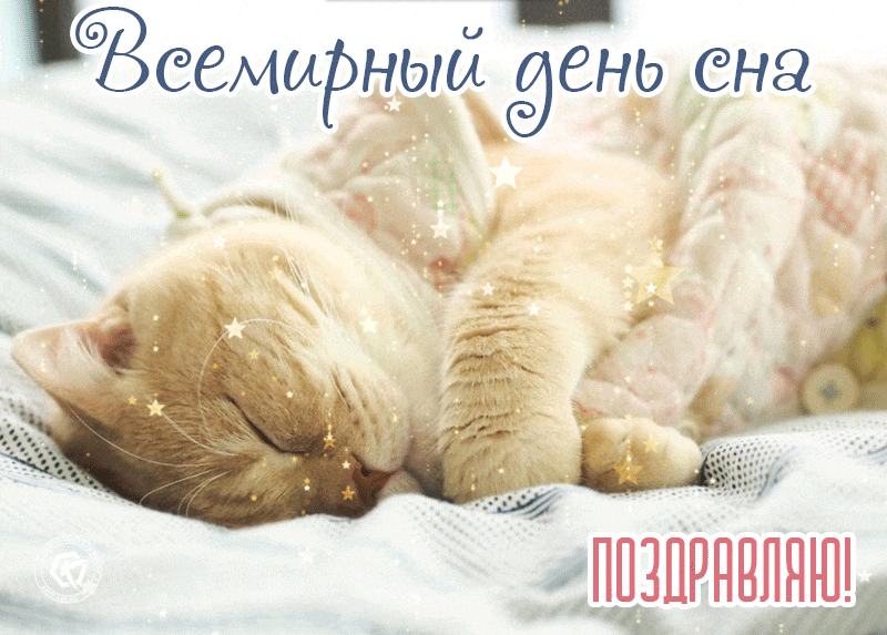 Красивая гифка с кошкой, поздравляю с всемирным днём сна. Красивая гифка с кошкой, поздравляю с всемирным днём сна.