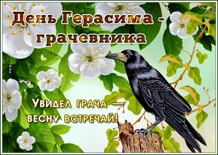 Красивая весенняя гифка на день Герасима, увидел грача, весну встречай. Красивая весенняя гифка на день Герасима, увидел грача, весну встречай.