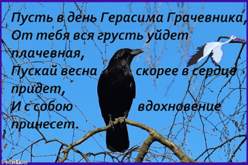 Пусть в день Герасима Грачевника, от тебя вся грусть уйдёт плачевная, пускай весна скорее в сердце придёт, и с собою вдохновение принесёт. Пусть в день Герасима Грачевника, от тебя вся грусть уйдёт плачевная, пускай весна скорее в сердце придёт, и с собою вдохновение принесёт.