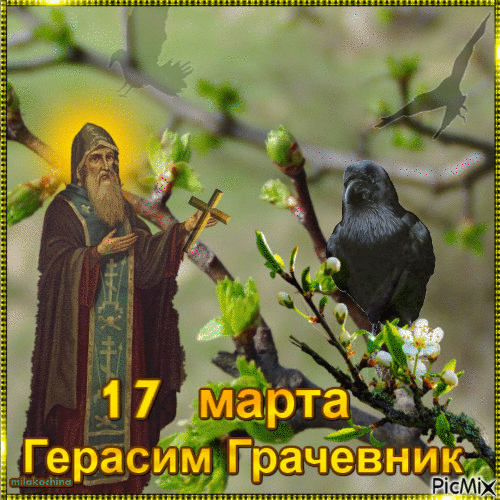 Весенняя гифка с изображением Герасима Грачевника и чёрного грача. Весенняя гифка с изображением Герасима Грачевника и чёрного грача.