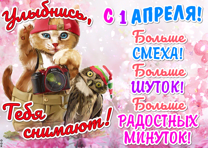 Красивая гифка улыбнись, тебя снимают! С 1 апреля, больше смеха.