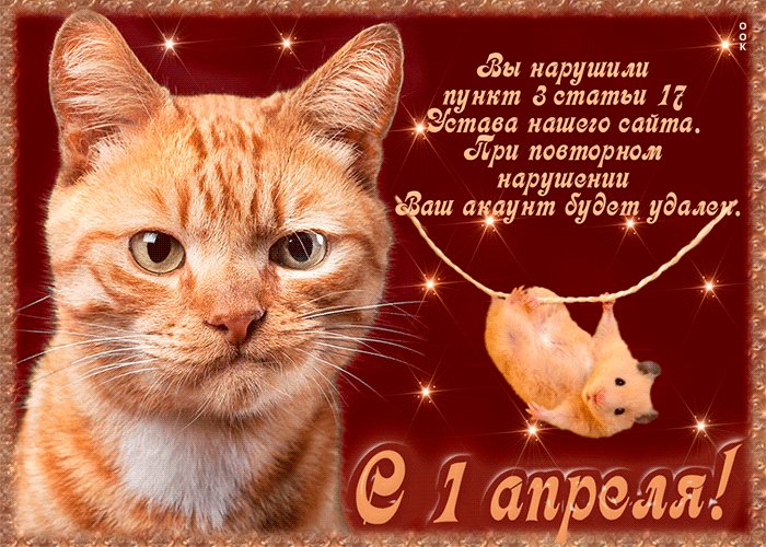 Суровый, но забавный котик поздравляет с 1 апреля смешной шуткой.