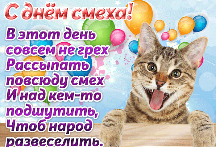 Новая смешная гифка с котом на день смеха.