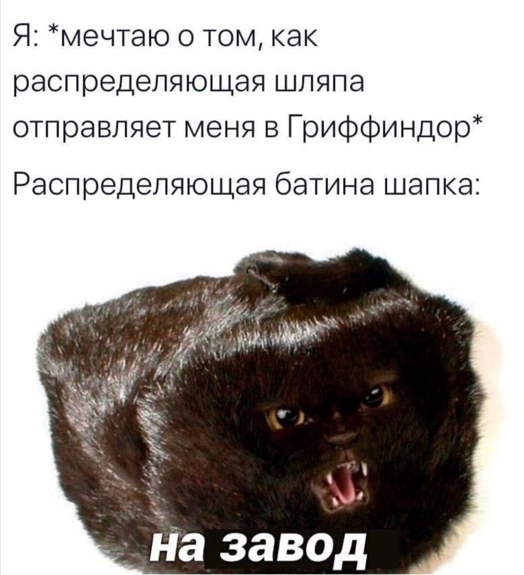 Мем "Батина Распределяющая шапка". Мем "Батина Распределяющая шапка".