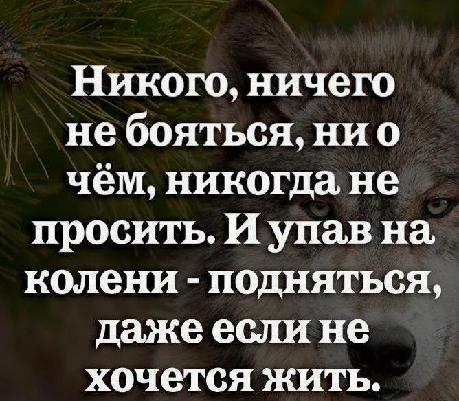 Мудрые слова.