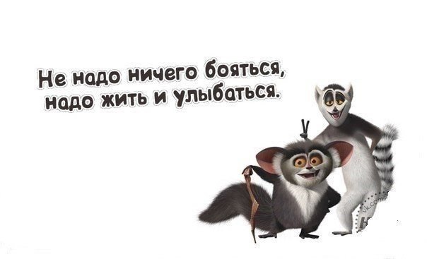 Мультяшная мотивационная картинка "Не надо ничего бояться, надо жить и улыбаться".